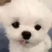 なの画像