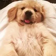 kikiの画像