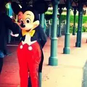 たけの画像