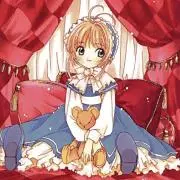 姫蝶の画像