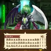 シークヮーサーの画像