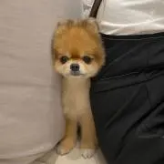 yyの画像
