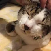 なかむー