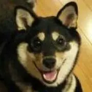 みらすけの画像