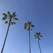山城屋の画像