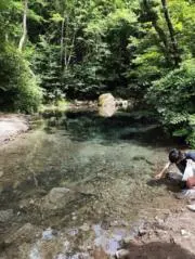 ゆうきの画像