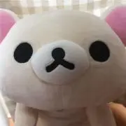 ぽちの画像