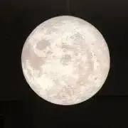 R （'-'♥）の画像