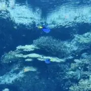 jjjiiiの画像