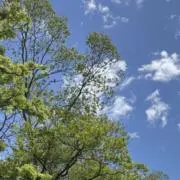 KRの画像