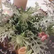 まつこの画像