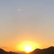 ニラ