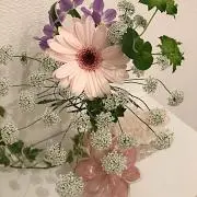 リンリンの画像