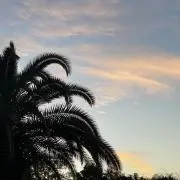 sea