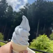 ひめの画像