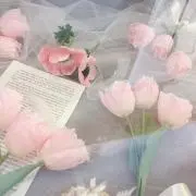 iの画像
