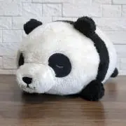 きなこの画像