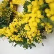 aisan888の画像