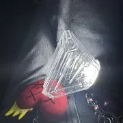 たんたんの画像