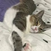 うちの大好きな♡姫