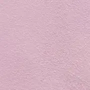 みきの画像
