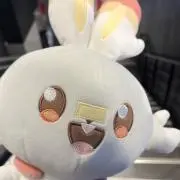 ぷりんらいすの画像