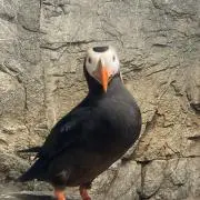 ☆エトピ★の画像