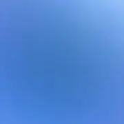 レム