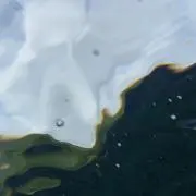 Dの画像