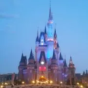 T.Mの画像