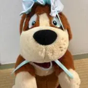 ナナの画像