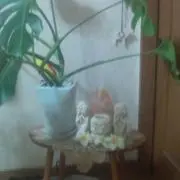 ☆みこ☆プロフ読んで下さい！
