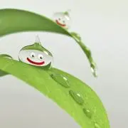 めうの画像