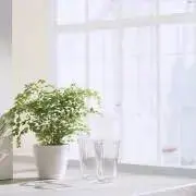 yuaの画像