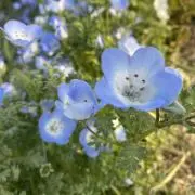 syty.n  プロフ必読下さいの画像
