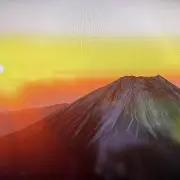 ユキちゃんの画像