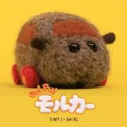 テディの画像