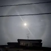 適当に画家