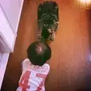 ひめ