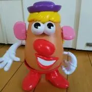 ウリボウの画像