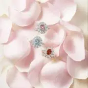 ふわりの画像