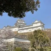 ブリとも