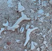 はる☻