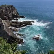 Fanfyの画像