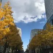 まいの画像