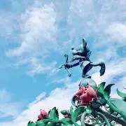 りん