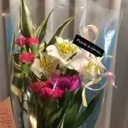 クローバーの画像