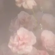 リリ