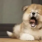 eの画像
