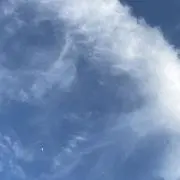 卵っちの画像